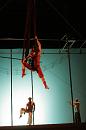 vertige du papillon 004 * 2336 x 3504 * (3.29MB)